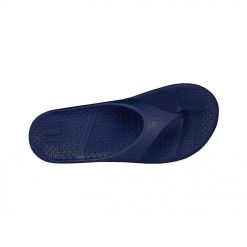 Telic Energy Flip Flop Deep Ocean