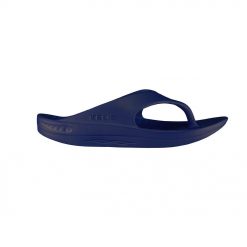 Telic Energy Flip Flop Deep Ocean